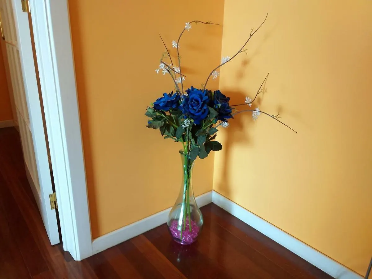 Lido Belissimo Apartamento Funchal  Funchal (Madeira)