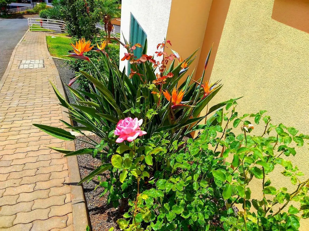 Lido Belissimo Apartamento Funchal   Funchal (Madeira)